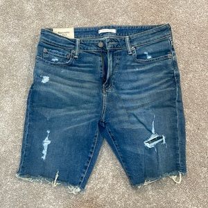 Abercrombie and fitch men's Denim shorts in Medium wash